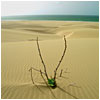 Marco Preti Photography - Flickr favorites
